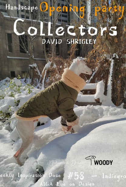 Thickened Lamb Wool Two in One Dog Cotton Coat Windproof Warm Coat High Necked Large Dog Outdoor Trendy Clothing Pet Winter Vest