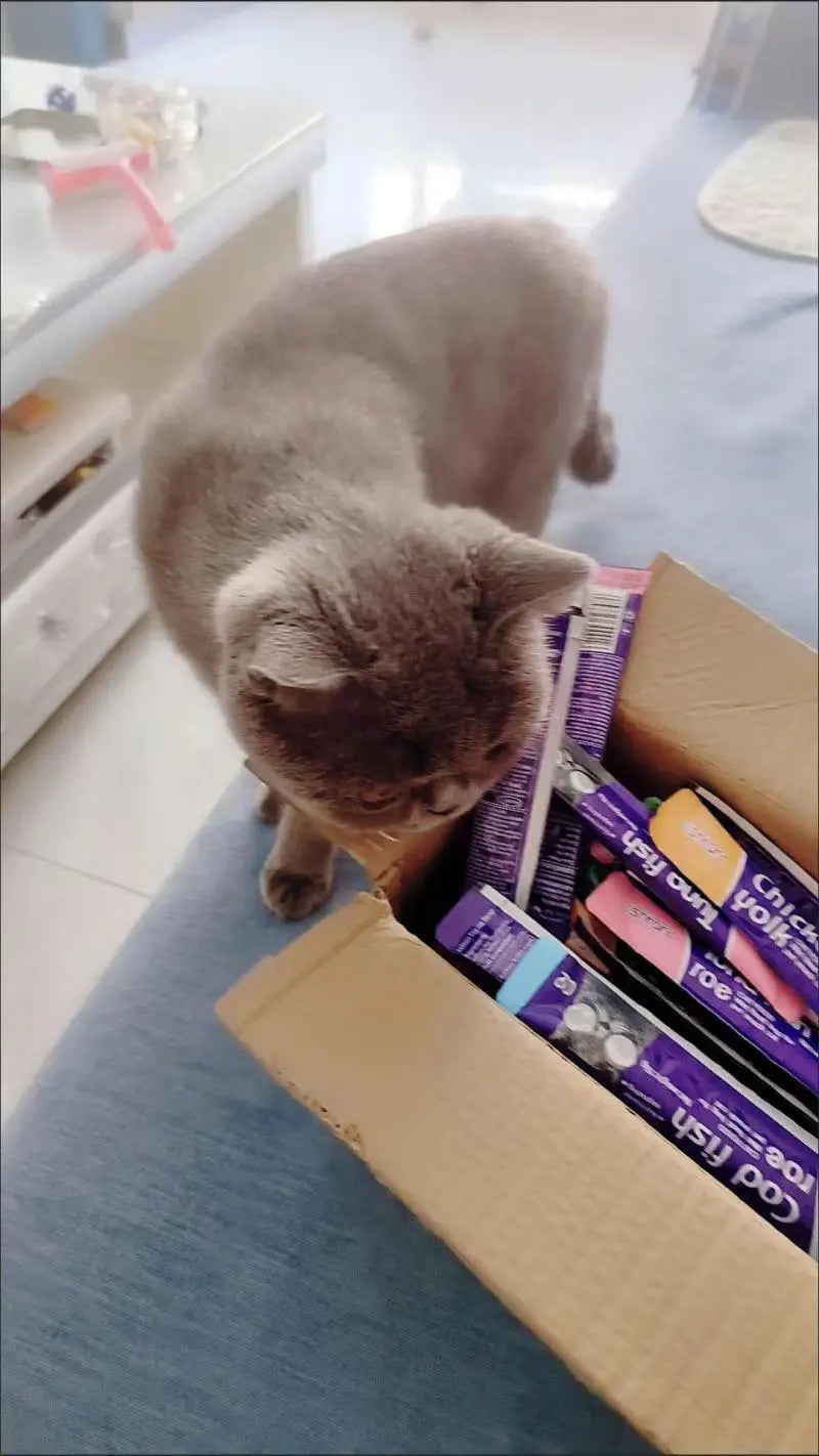 High quality  Mixed Flavor 30 Strips Cat Strips Young Cat Wet Food Pack Nutrition Abalone Tuna Chicken Formula Cat Liquid Snacks