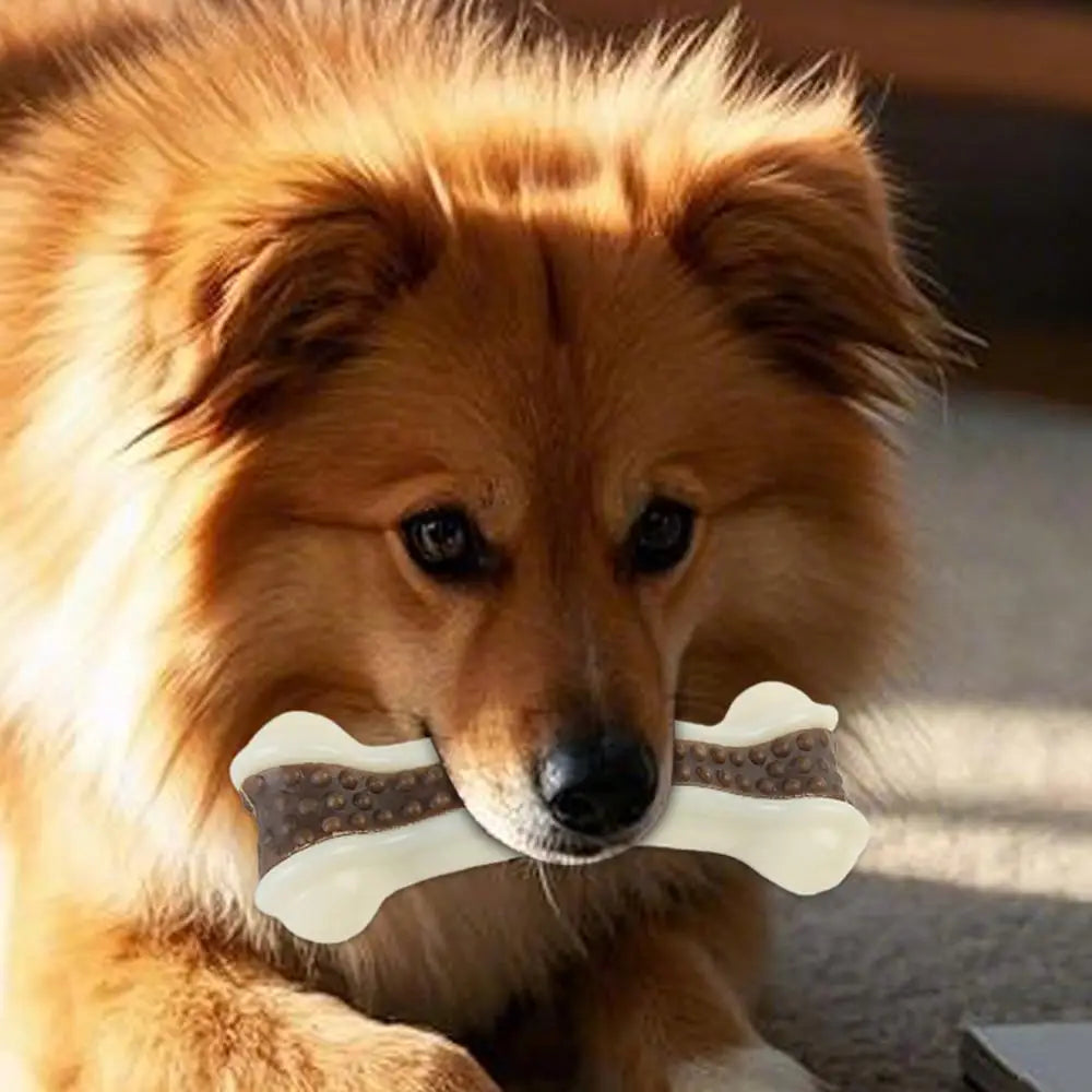 1pcs Dog Toys Eat Play Nylon+Leather Bone Stick Teething Stick Dog Toy Bite Gum Bone Resistant Bite Chewing Pet Supplies