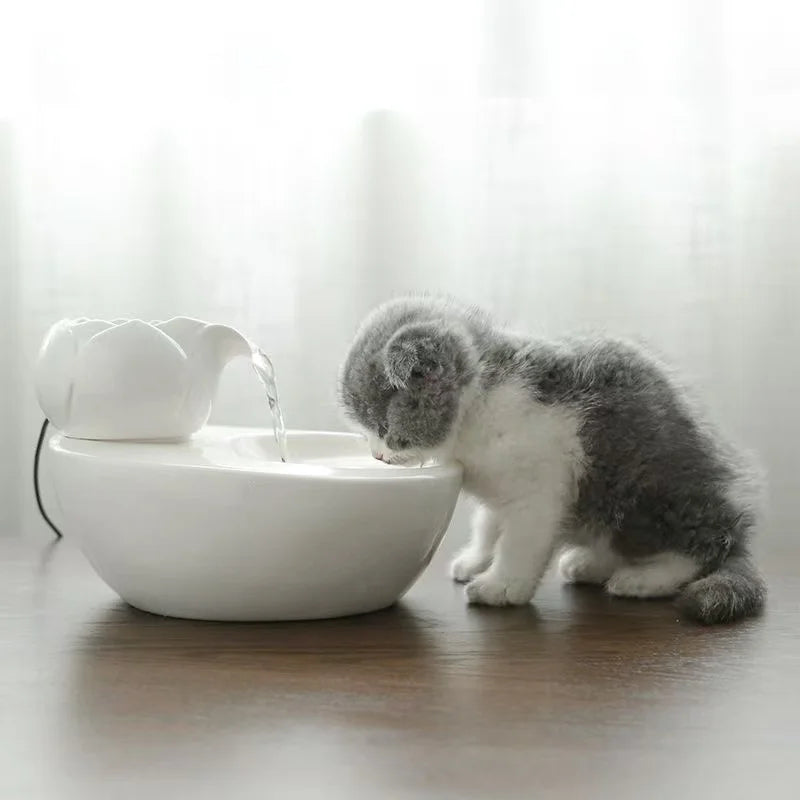 Ceramic pet water fountain with USB pump for cats and other pets to drink water.