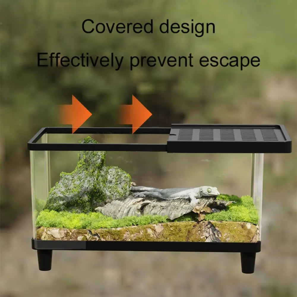 Multifunctional Transparent Reptile Terrarium Visual Breathable Lizard Breeding Box with Cover Reptile Habitat Landscaping