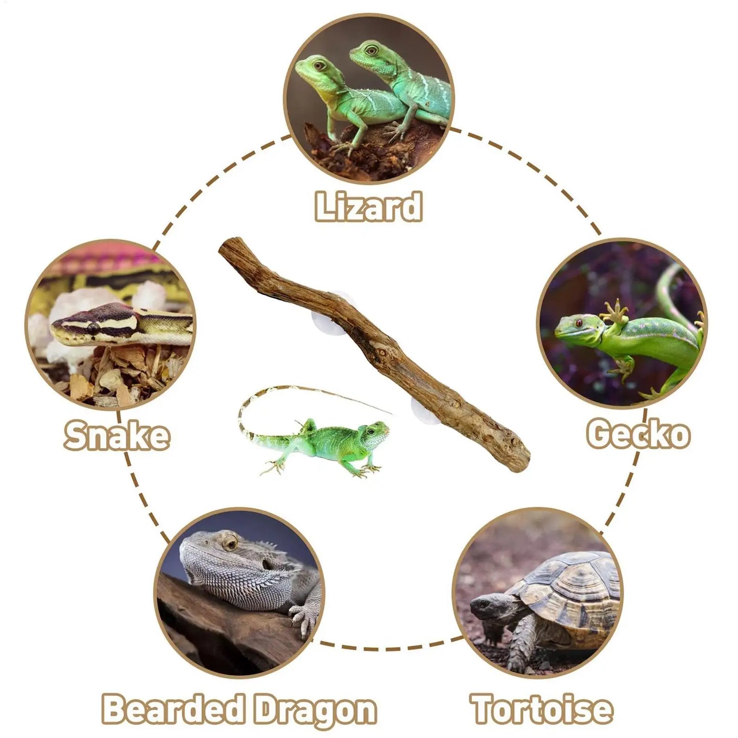 Reptile Branch Unique Bearded Dragon Branch Reptile Decor Wooden Tree Trunk Ornament Habitat Decorations Non-slip Climbing