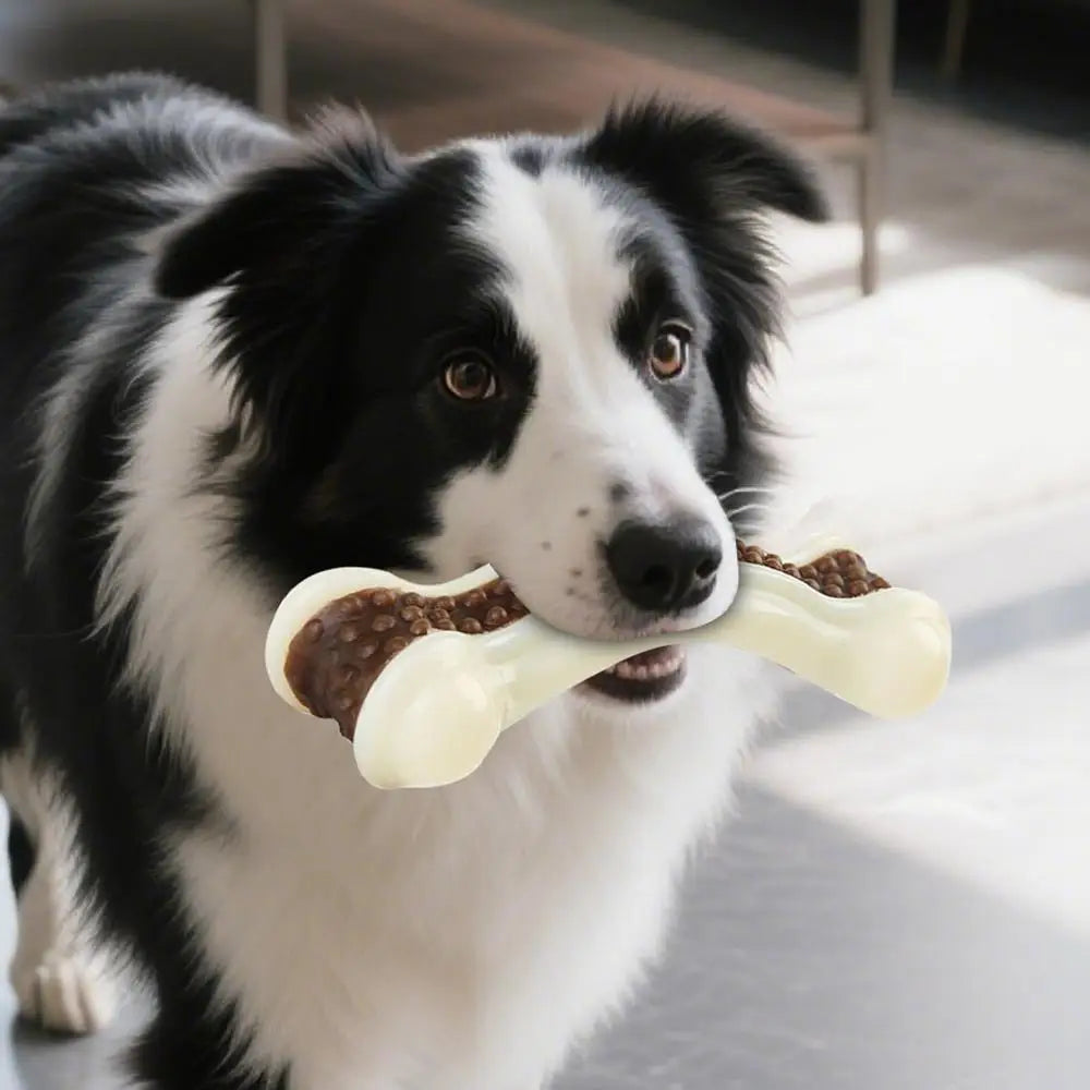 1pcs Dog Toys Eat Play Nylon+Leather Bone Stick Teething Stick Dog Toy Bite Gum Bone Resistant Bite Chewing Pet Supplies
