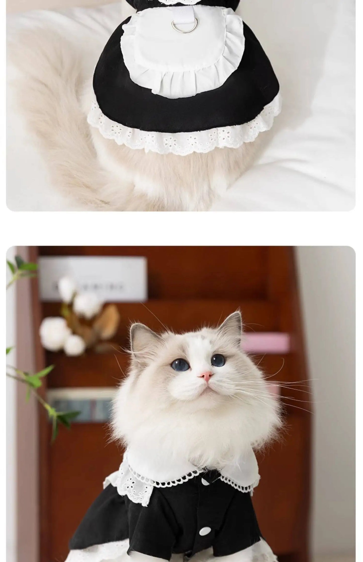 Blue Maid Skirt Kitten Dress Thin Breathable Pet British Short Silver Summer Clothes Cat Dress