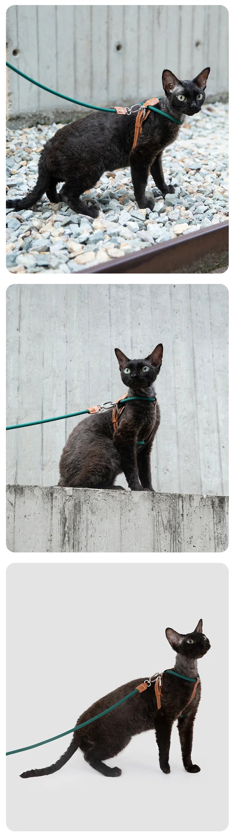 Adjustable X-Shape Cat Harness & Leash Set, Lightweight Escape Proof Cat Walking Harness,Leather 4-Gear Adjustment for 6kg Cats