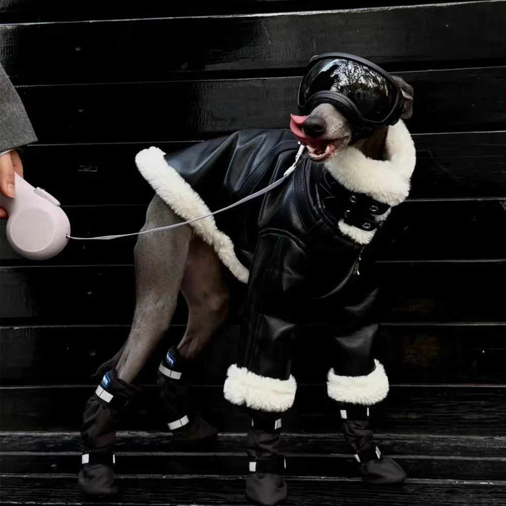 Luxury Leather Whippet Dog Clothes in Winter 4-legged Plush Jacket Windproof Coat Warm Clothing for Italian Greyhound