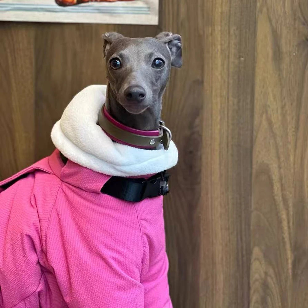 Winter Warm Rose Pink Coat for Female Italian Greyhound Waterproof Windproof High-Neck Jacket for Whippet in Cold Weather