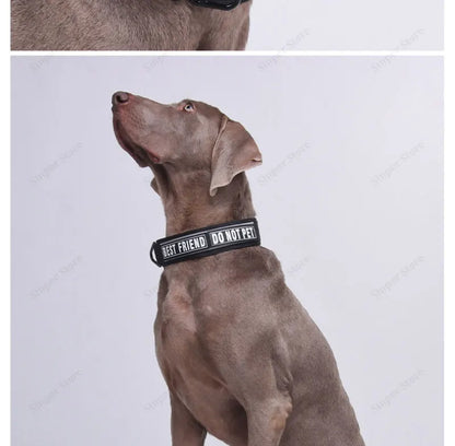 Tactical Dog Collar Adjustable Military Training Nylon Dog Collar with Control Handle and Heavy Metal Buckles for Large Dogs