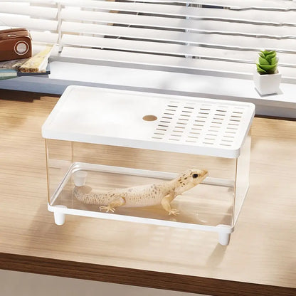 Multifunctional Transparent Reptile Terrarium Visual Breathable Lizard Breeding Box with Cover Reptile Habitat Landscaping