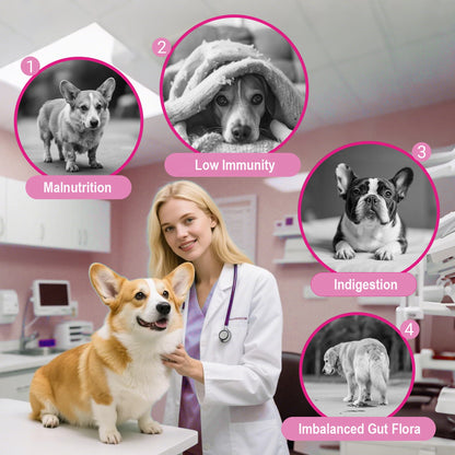 180 Chewable Probiotic Tablets for Dogs & Cats, Pet Health Nutrition Supplement for Gut Flora Balance & Strong Immunity Support