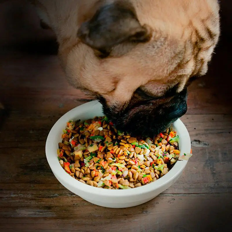 Pet snacks fruits and vegetables dried vegetables dog food mate mixed dehydrated freeze dried nutritious food