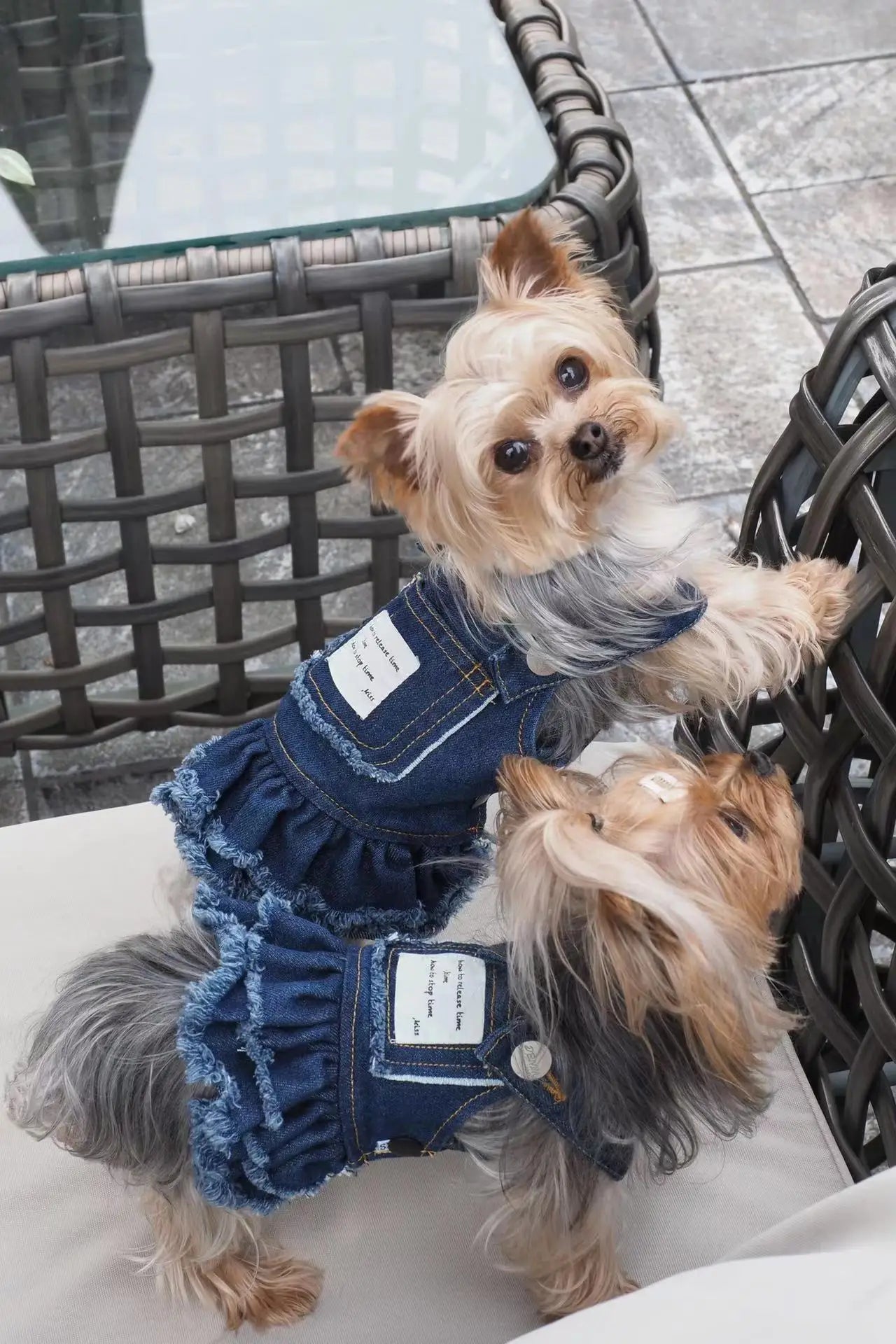 Summer Dog Clothes Denim Jeans with Hat Dog Dress INS Style Small Girl Dog Clothing Couple Pet Outfit Puppy Costume Overalls