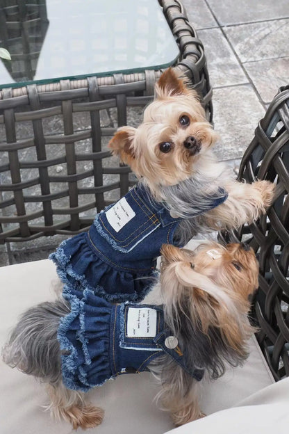 Summer Dog Clothes Denim Jeans with Hat Dog Dress INS Style Small Girl Dog Clothing Couple Pet Outfit Puppy Costume Overalls