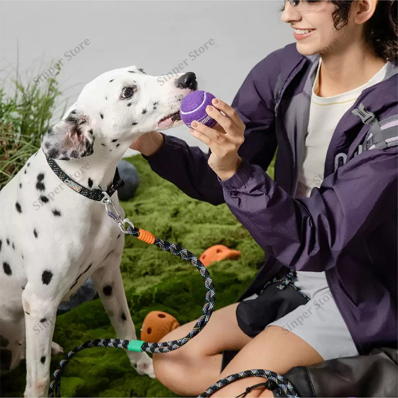 Cute Small Dog Collar Harness Leash Set Adjustable Dog Collars and Leashes Bowtie Breathable Soft Mesh Padded Dog Vest