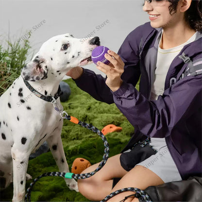 Cute Small Dog Collar Harness Leash Set Adjustable Dog Collars and Leashes Bowtie Breathable Soft Mesh Padded Dog Vest