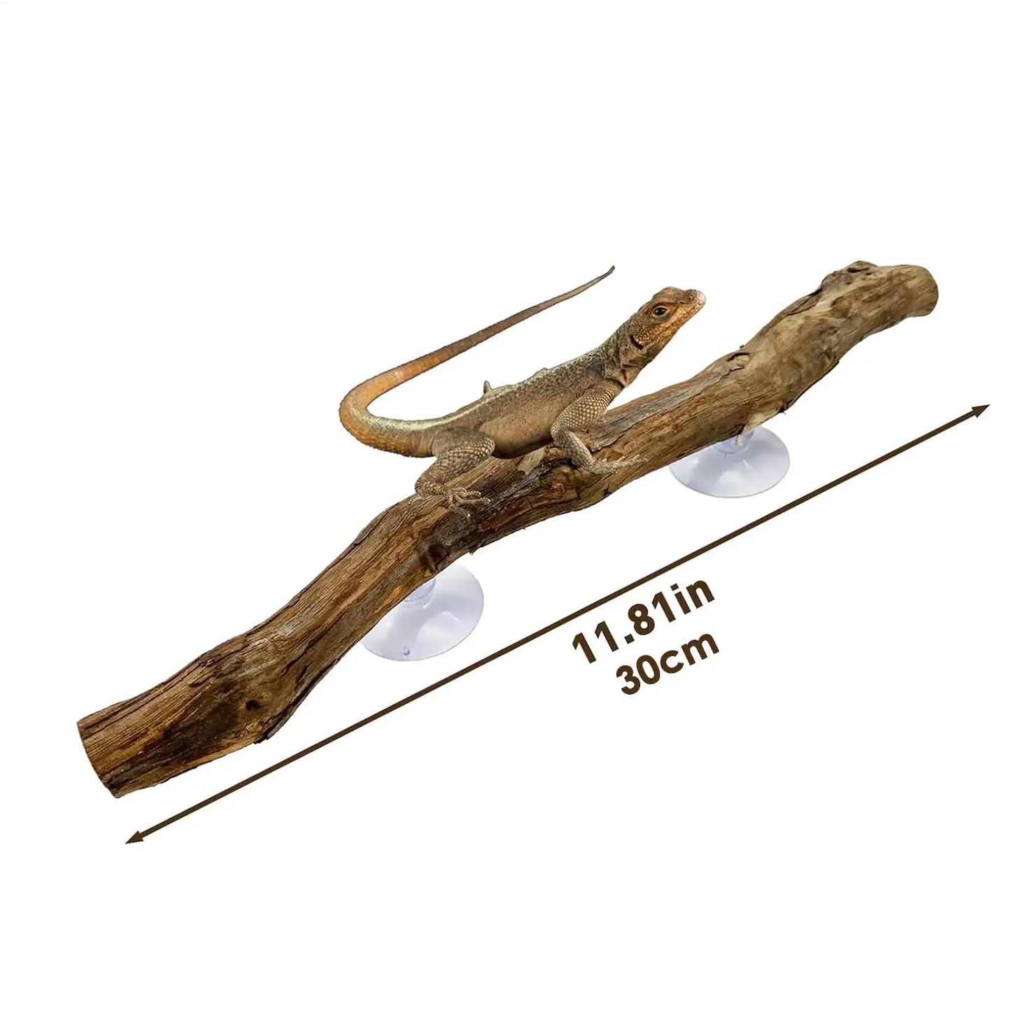 Reptile Branch Unique Bearded Dragon Branch Reptile Decor Wooden Tree Trunk Ornament Habitat Decorations Non-slip Climbing