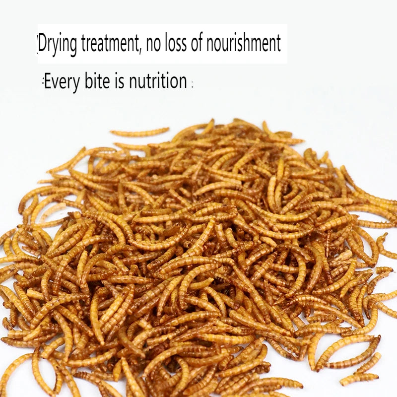 Thrushcross Turtle Snacks Freshwater Small Fish Dried Shrimp Dried Hamster Bread Worm Dried Hamster Snacks
