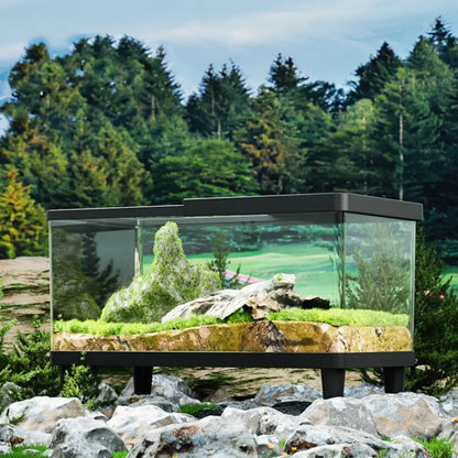 Multifunctional Transparent Reptile Terrarium Visual Breathable Lizard Breeding Box with Cover Reptile Habitat Landscaping