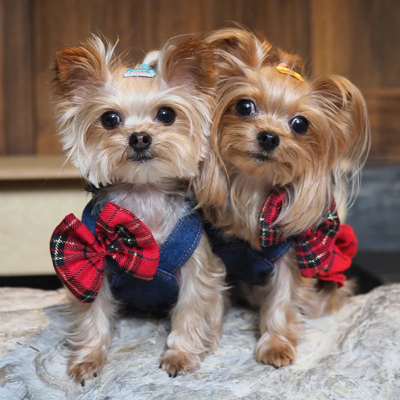 Luxury Dog Denim Strap Skirt Pet Clothing Spring Summer Small Dog Denim Strap Skirt Dog Dresses for Maltese Pomerpish Yorkshire