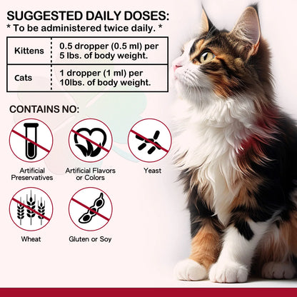Liquid Iron Caramel Flavor Treatment for Cats Helps with Iron Levels Deficiency Formation of Red Blood Cell Oxygen in Hemoglobin