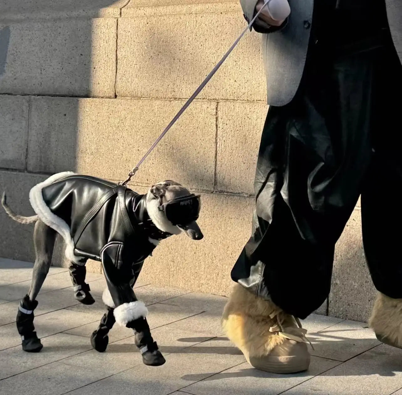 Luxury Leather Whippet Dog Clothes in Winter 4-legged Plush Jacket Windproof Coat Warm Clothing for Italian Greyhound