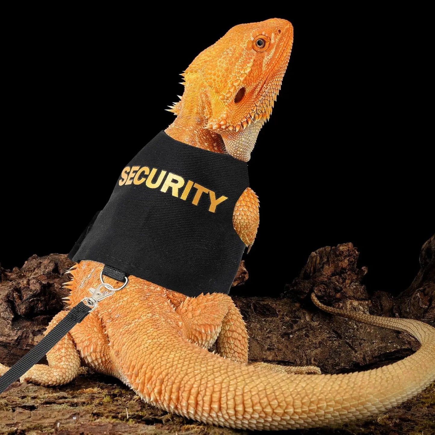 Bearded Dragon Harness Leash Set, Lizard Clothe Costume Adjustable Reptile Harness with 5ft Leash for Bearded Dragon