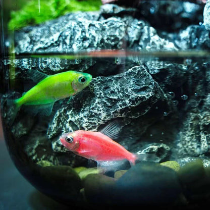 Glass Aquariums Ecological Hydroponics Plant Bottle Small Desktop Decoration Fish Tank Multi-functional Landscape Aquariums