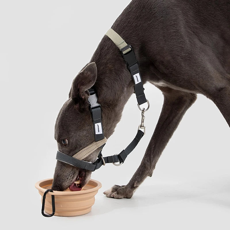 Soft Dog Head Collar Patented Padded No Pull Head Halter Training Nose Leash with Safety Link for Medium Large Dogs Adjustable