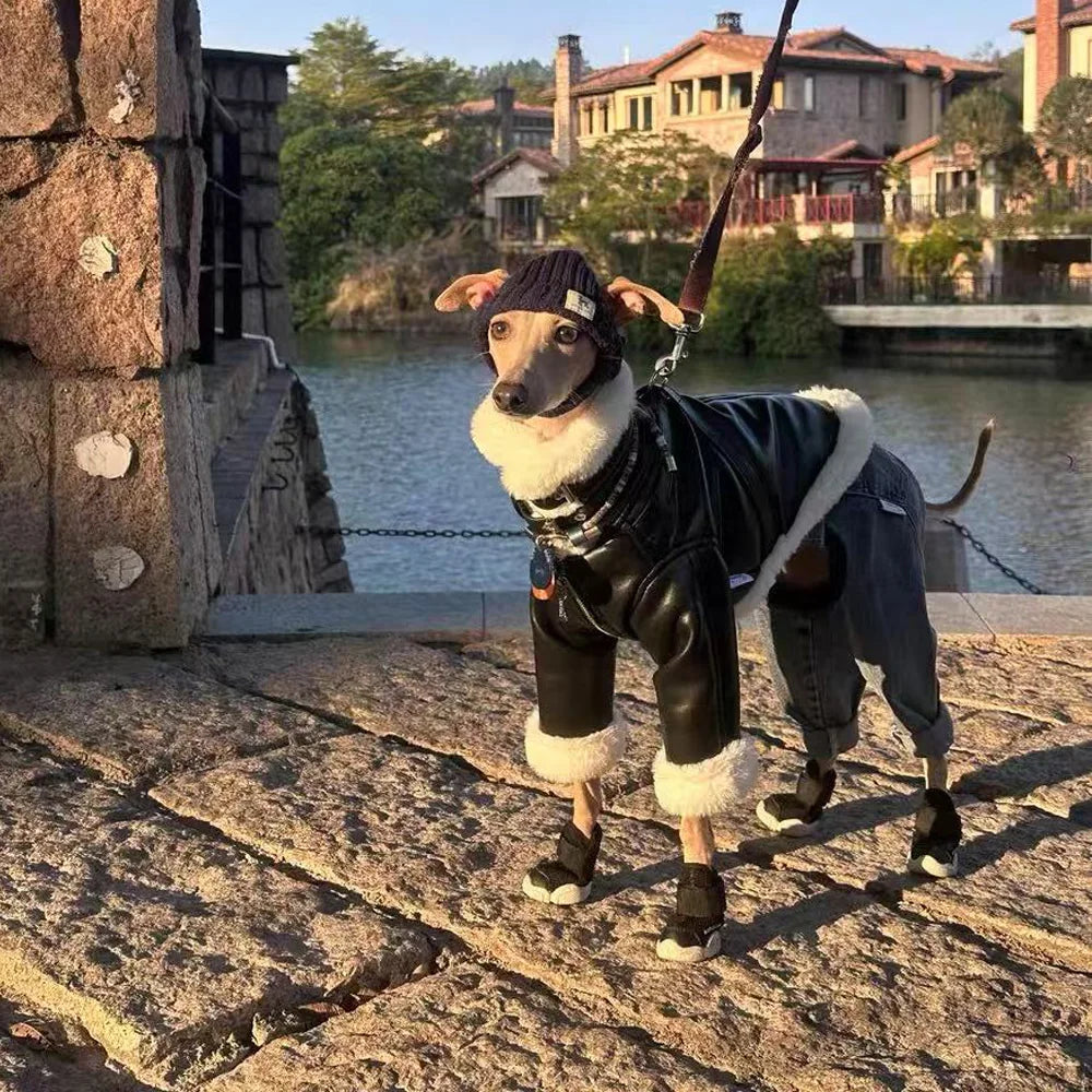 Luxury Leather Whippet Dog Clothes in Winter 4-legged Plush Jacket Windproof Coat Warm Clothing for Italian Greyhound