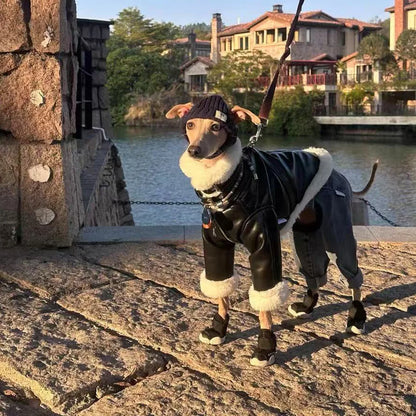 Luxury Leather Whippet Dog Clothes in Winter 4-legged Plush Jacket Windproof Coat Warm Clothing for Italian Greyhound