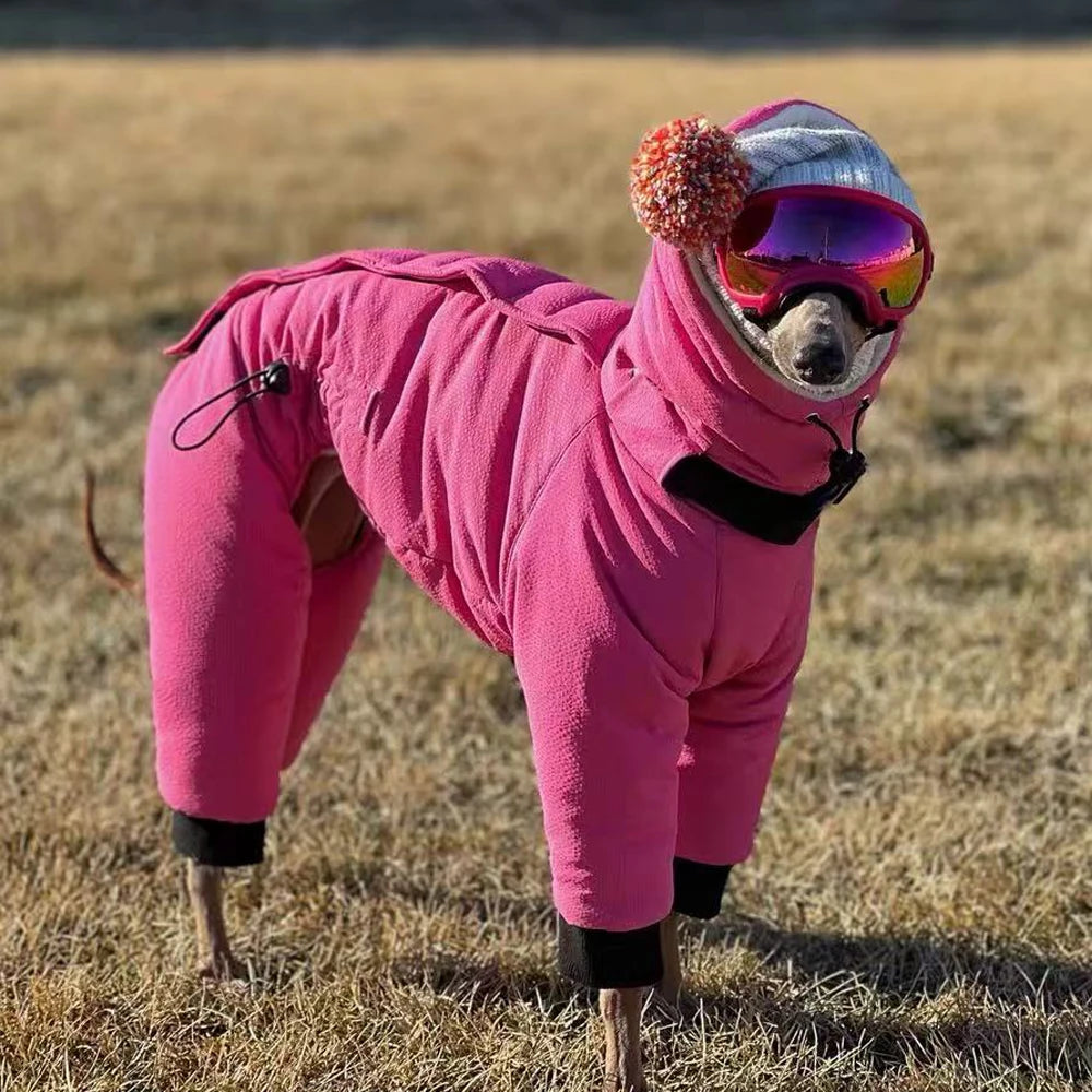 Winter Warm Rose Pink Coat for Female Italian Greyhound Waterproof Windproof High-Neck Jacket for Whippet in Cold Weather