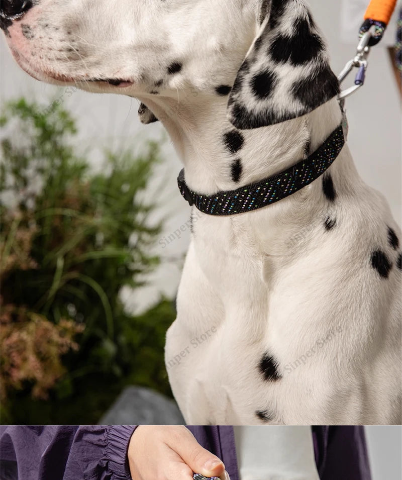Cute Small Dog Collar Harness Leash Set Adjustable Dog Collars and Leashes Bowtie Breathable Soft Mesh Padded Dog Vest