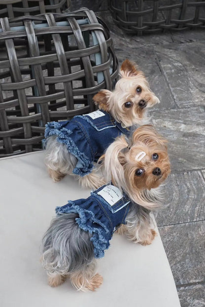 Summer Dog Clothes Denim Jeans with Hat Dog Dress INS Style Small Girl Dog Clothing Couple Pet Outfit Puppy Costume Overalls