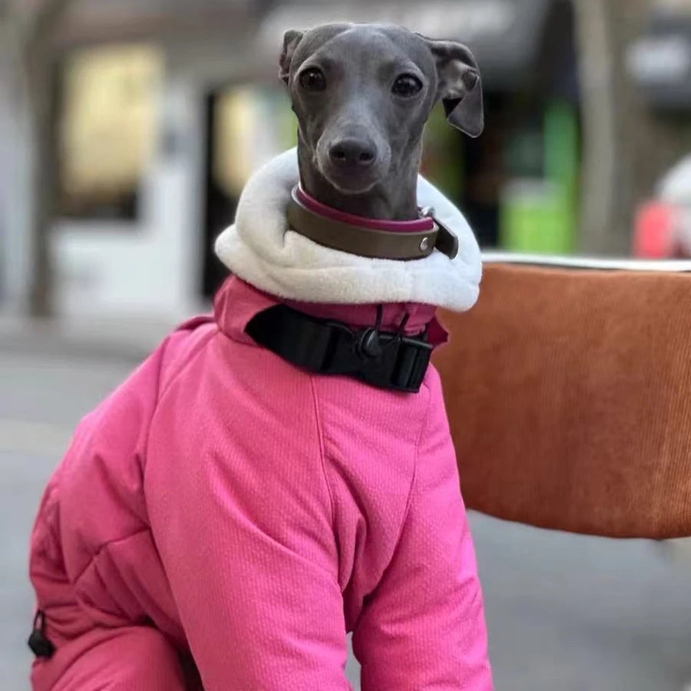 Winter Warm Rose Pink Coat for Female Italian Greyhound Waterproof Windproof High-Neck Jacket for Whippet in Cold Weather