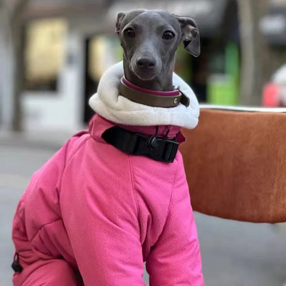 Winter Warm Rose Pink Coat for Female Italian Greyhound Waterproof Windproof High-Neck Jacket for Whippet in Cold Weather