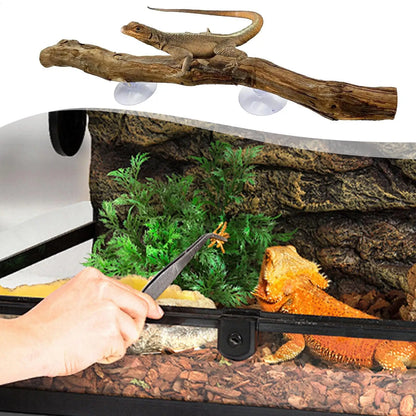 Reptile Branch Unique Bearded Dragon Branch Reptile Decor Wooden Tree Trunk Ornament Habitat Decorations Non-slip Climbing