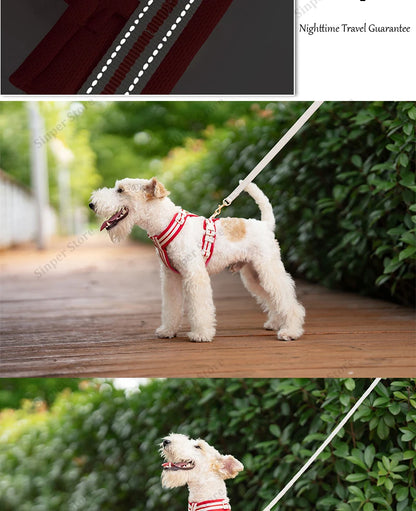 Adjustable Dog Vest Harness Breathable No Pull Harness for Small, Medium Large Dogs Harness for Walking Jogging Easy Step-in