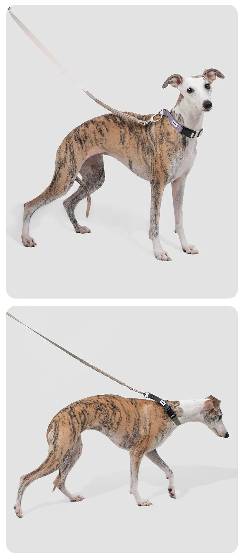 Multi-Functional Dog Leash Anti-Burst Shock Absorption Hands-Free Waist Shoulder Strap Adjustable 114-143cm for 40kg