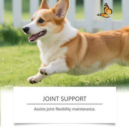 200g Organic-Turmeric Soft Chews For Dogs With Curcumins Joint Supplement With Collagen Eliminates Joint Pain Inflammation