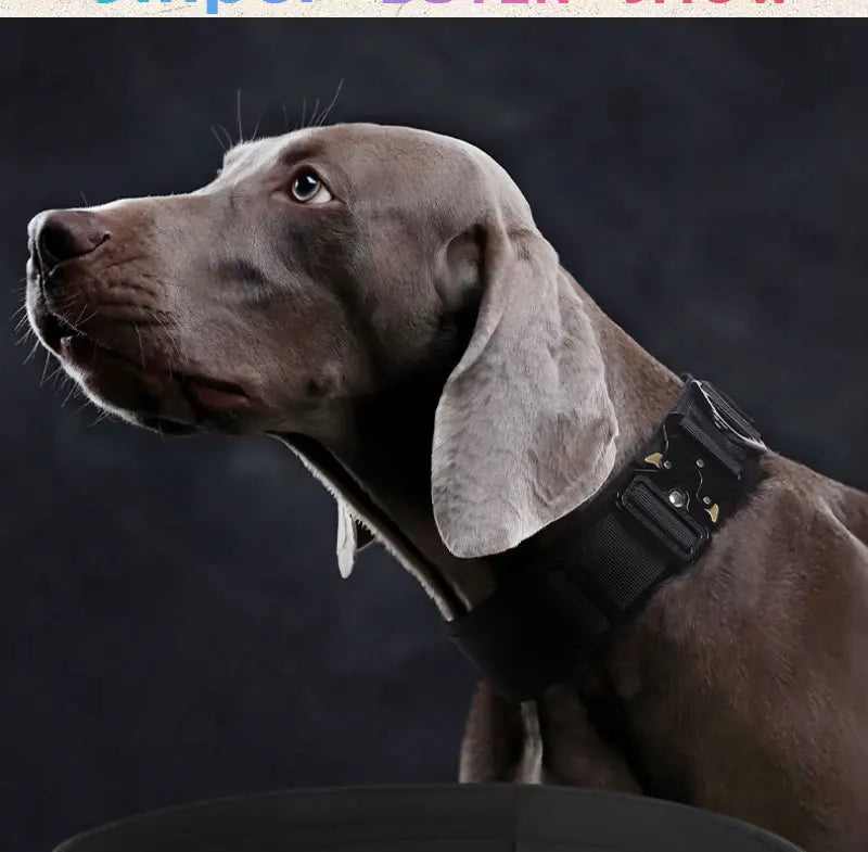 Tactical Dog Collar Adjustable Military Training Nylon Dog Collar with Control Handle and Heavy Metal Buckles for Large Dogs