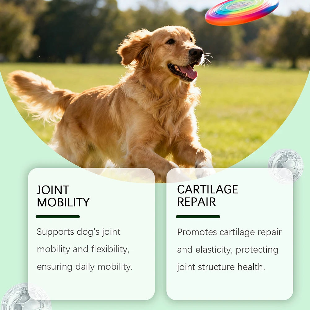 200g Dog Joint Supplement Soft Chews For Senior Dogs Natural Dog Joint Support For Improved Mobility For Senior Dogs