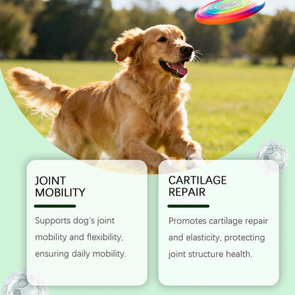 200g Dog Joint Supplement Soft Chews For Senior Dogs Natural Dog Joint Support For Improved Mobility For Senior Dogs
