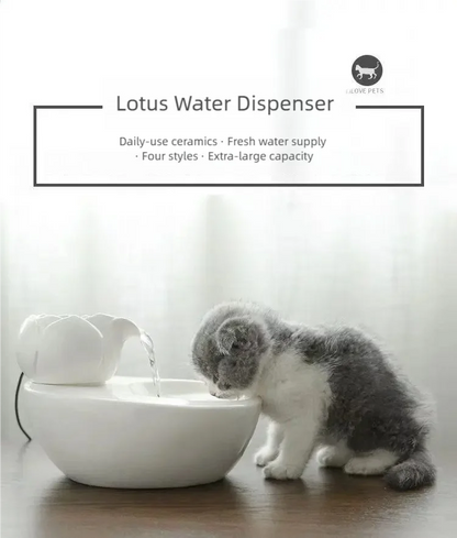 Ceramic pet water fountain with USB pump for cats and other pets to drink water.