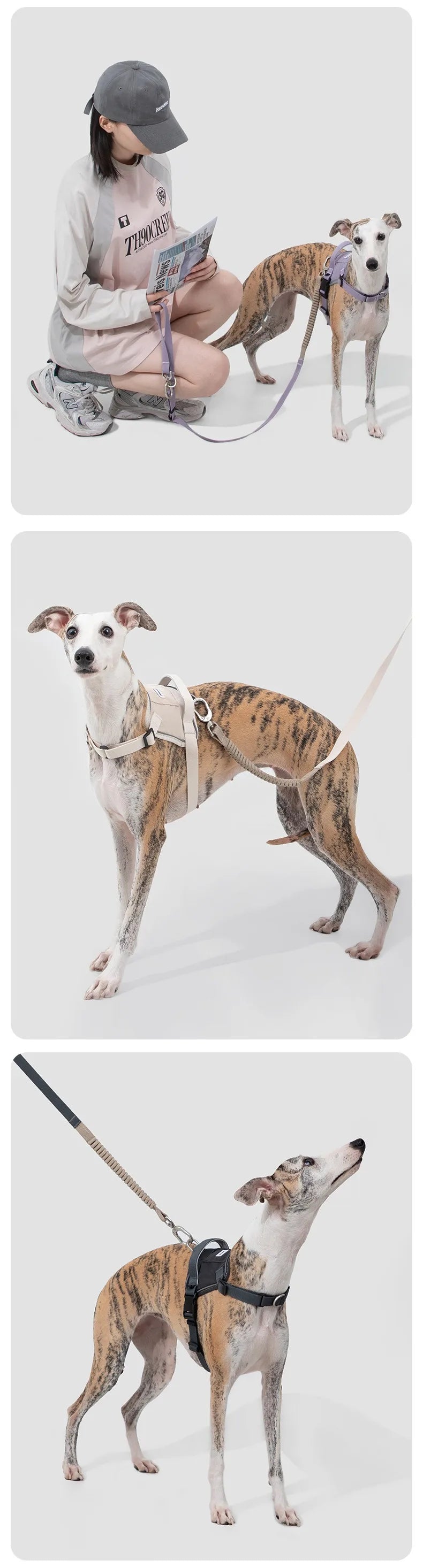 Multi-Functional Dog Leash Anti-Burst Shock Absorption Hands-Free Waist Shoulder Strap Adjustable 114-143cm for 40kg