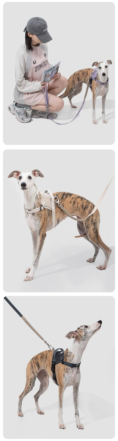 Multi-Functional Dog Leash Anti-Burst Shock Absorption Hands-Free Waist Shoulder Strap Adjustable 114-143cm for 40kg