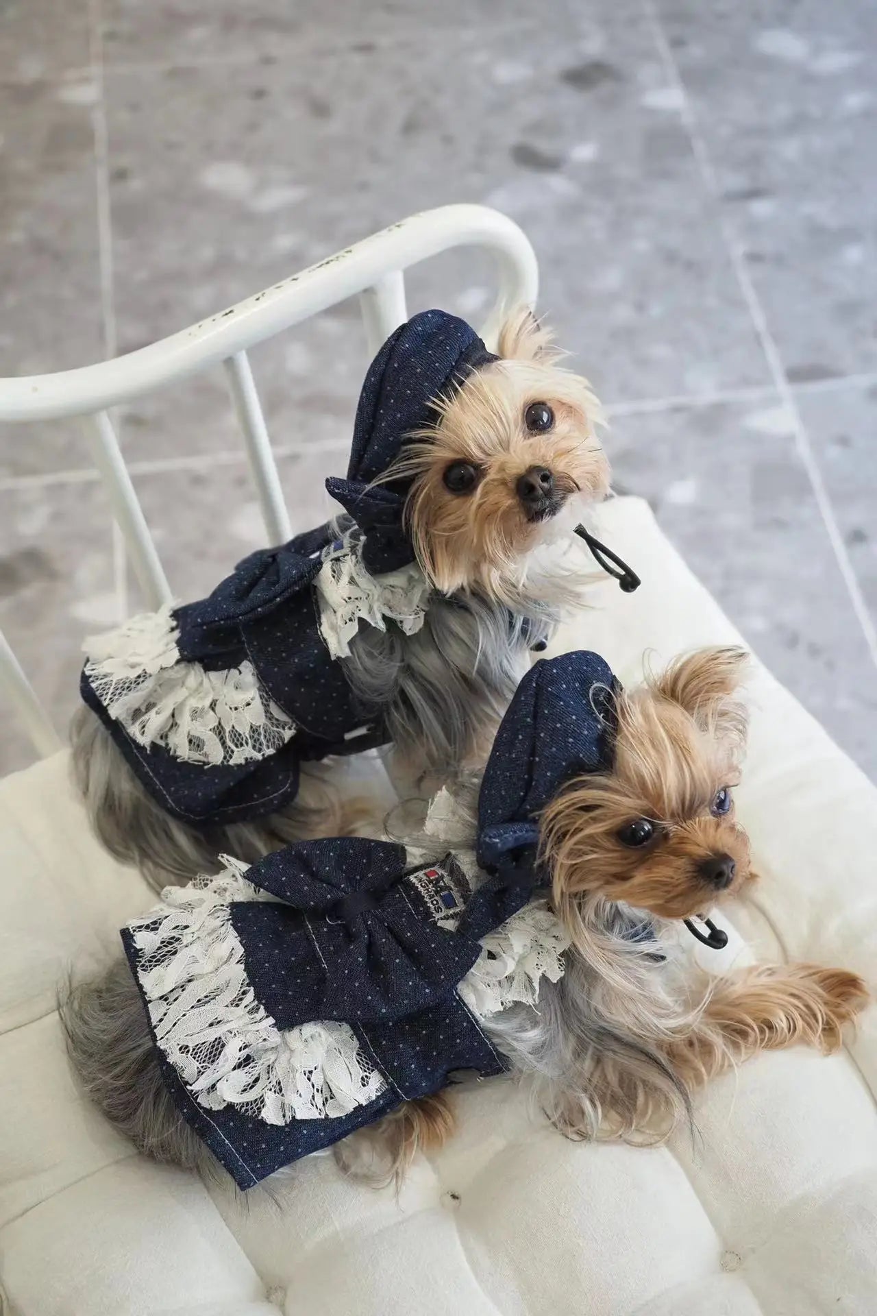 Summer Dog Clothes Denim Jeans with Hat Dog Dress INS Style Small Girl Dog Clothing Couple Pet Outfit Puppy Costume Overalls