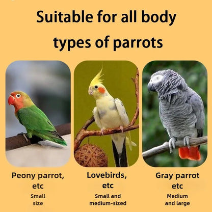 Large Bird Cages Canaries Parrot Houses Luxury Decorative Display Birds Cage Interior Transparent Parakeet Habitats Villa