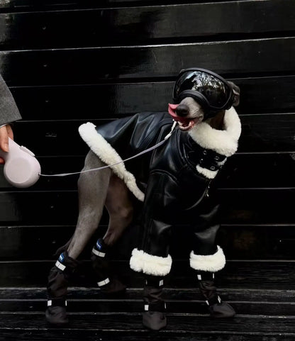 Luxury Leather Whippet Dog Clothes in Winter 4-legged Plush Jacket Windproof Coat Warm Clothing for Italian Greyhound