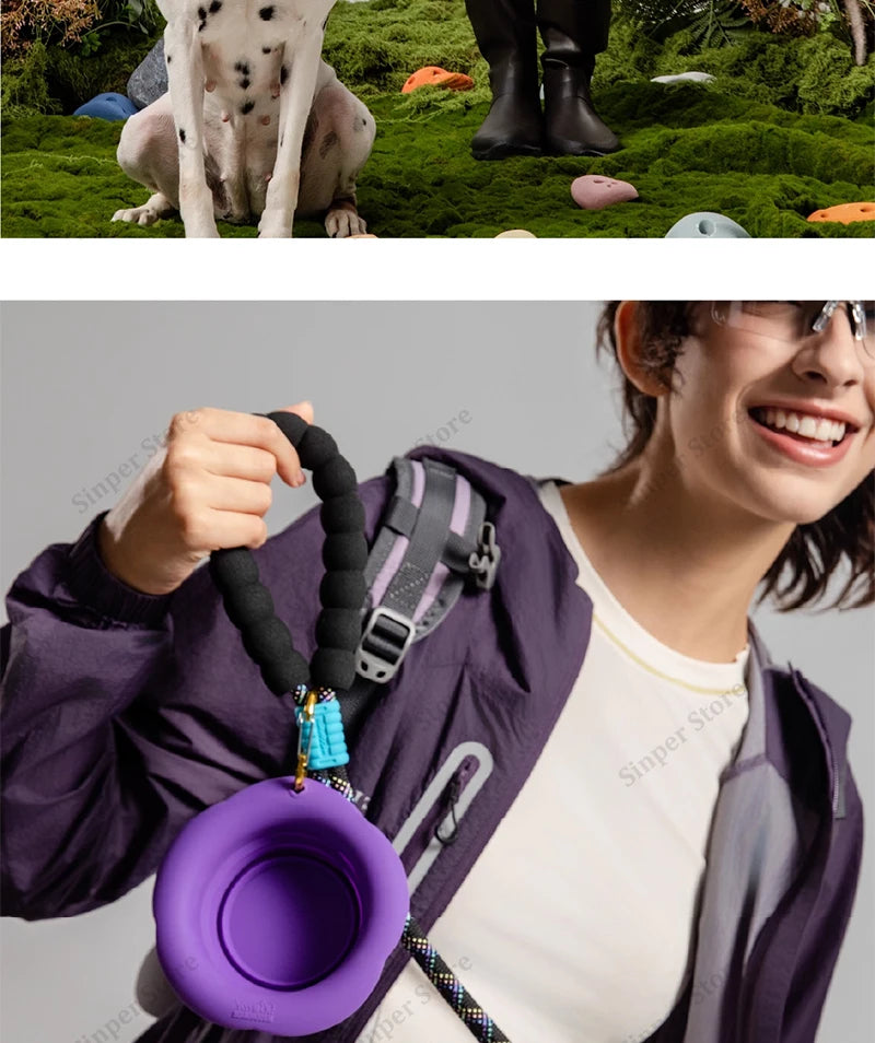 Cute Small Dog Collar Harness Leash Set Adjustable Dog Collars and Leashes Bowtie Breathable Soft Mesh Padded Dog Vest
