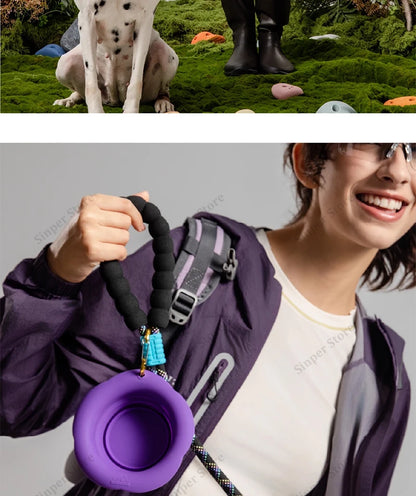Cute Small Dog Collar Harness Leash Set Adjustable Dog Collars and Leashes Bowtie Breathable Soft Mesh Padded Dog Vest